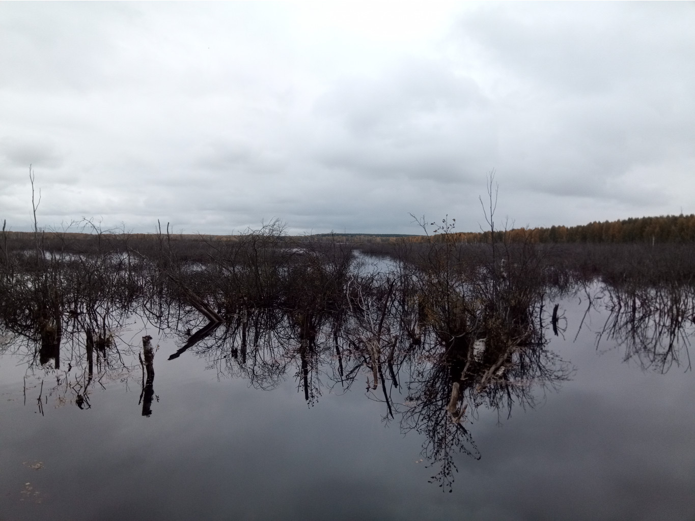 20211002 BikeTrip 131550.jpg
