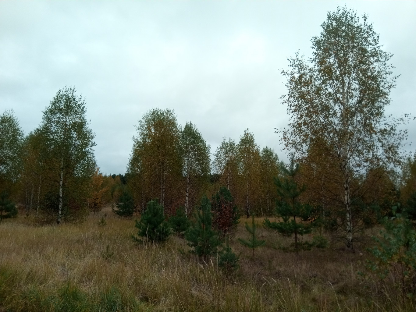20211002 ЛиндаBikeTrip 111736.jpg