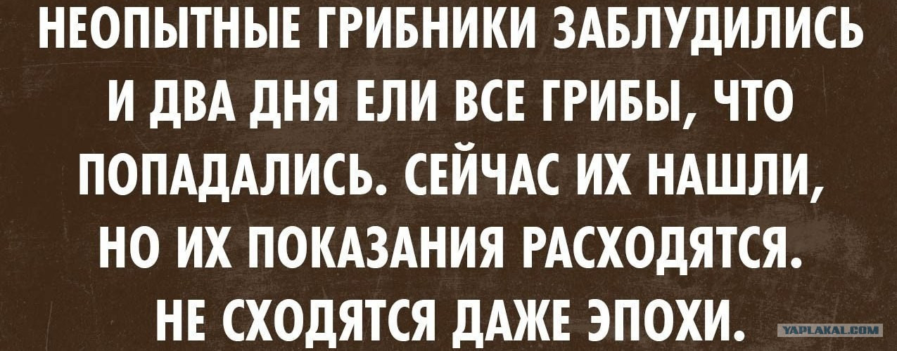 Смешные картинки с надписями про грибников