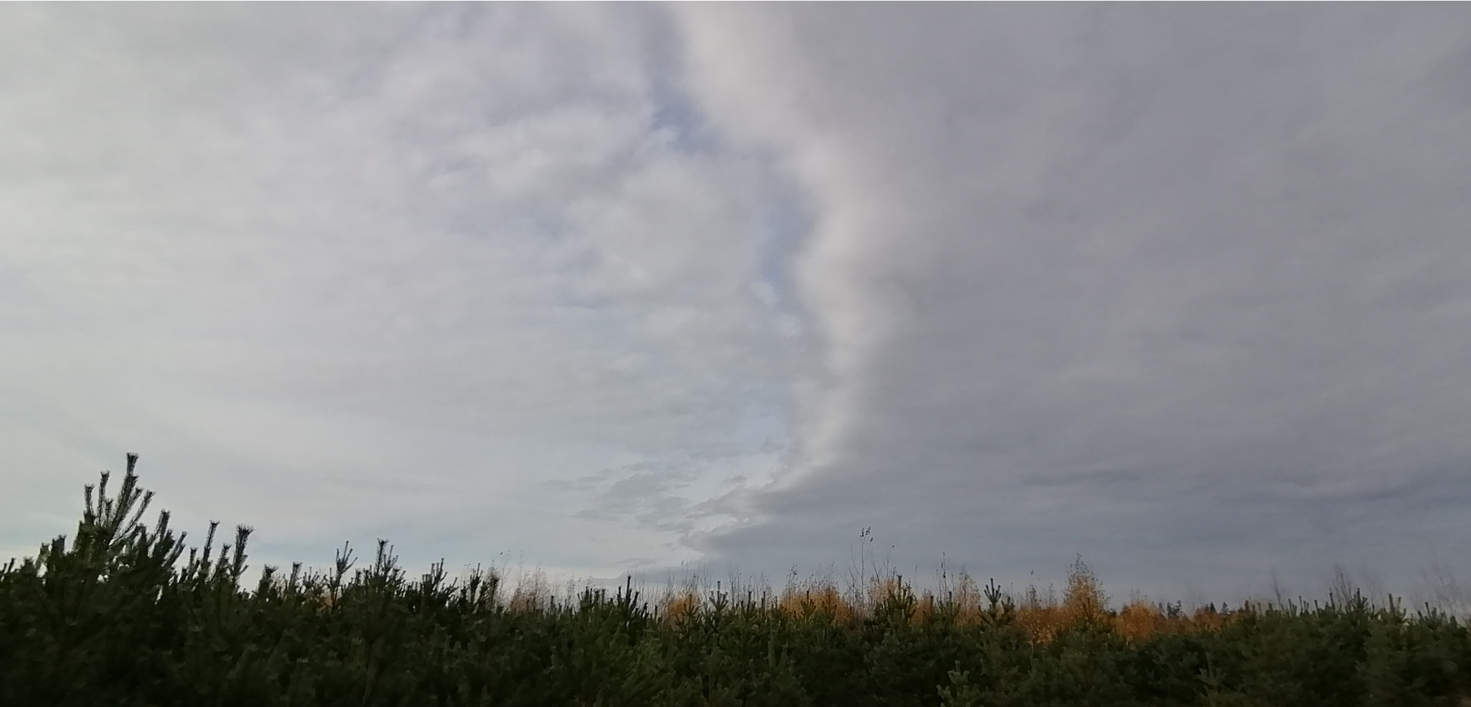 IMG 20211016 125716.jpg