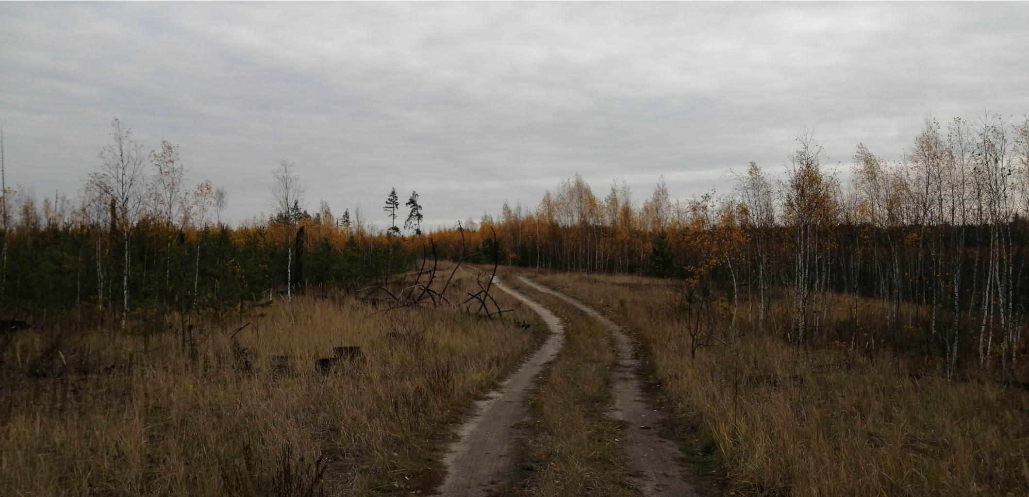 IMG 20211016 102254.jpg