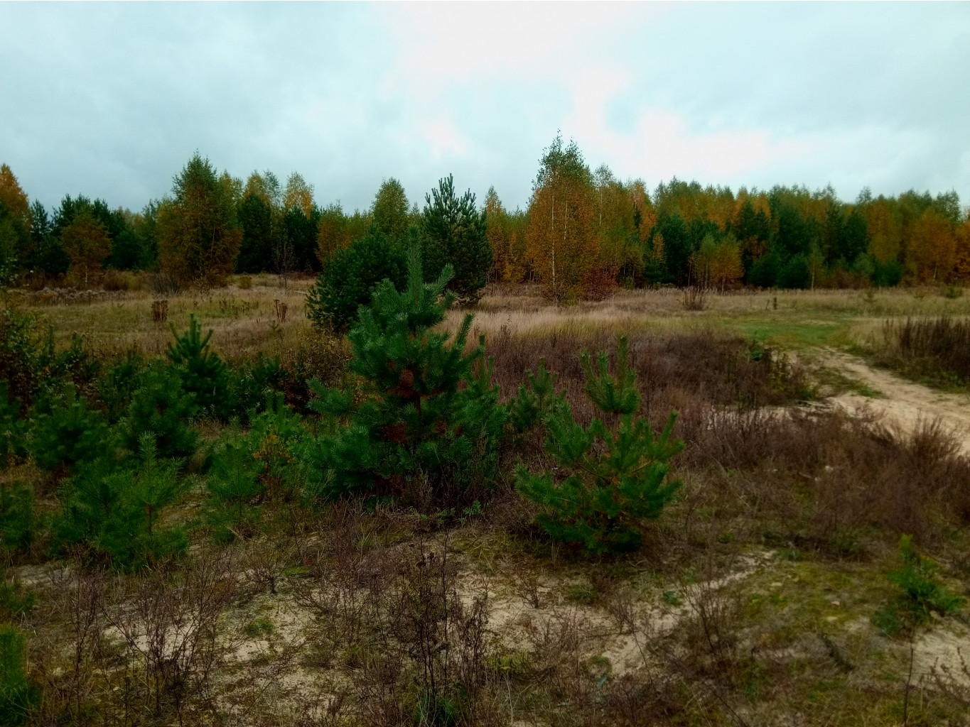 20211002 ЛиндаBikeTrip 102133.jpg