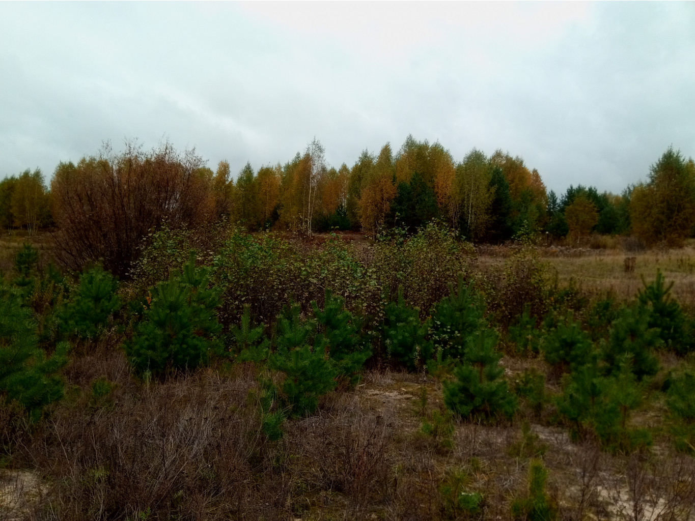 20211002 BikeTrip 102126.jpg