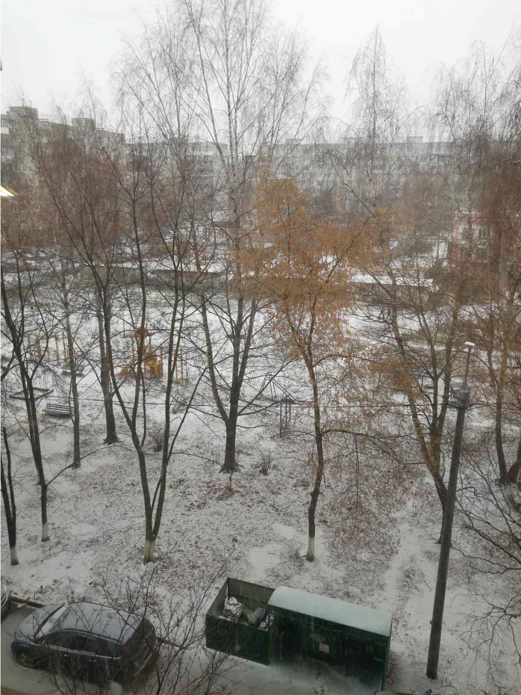 2021 11 ноября