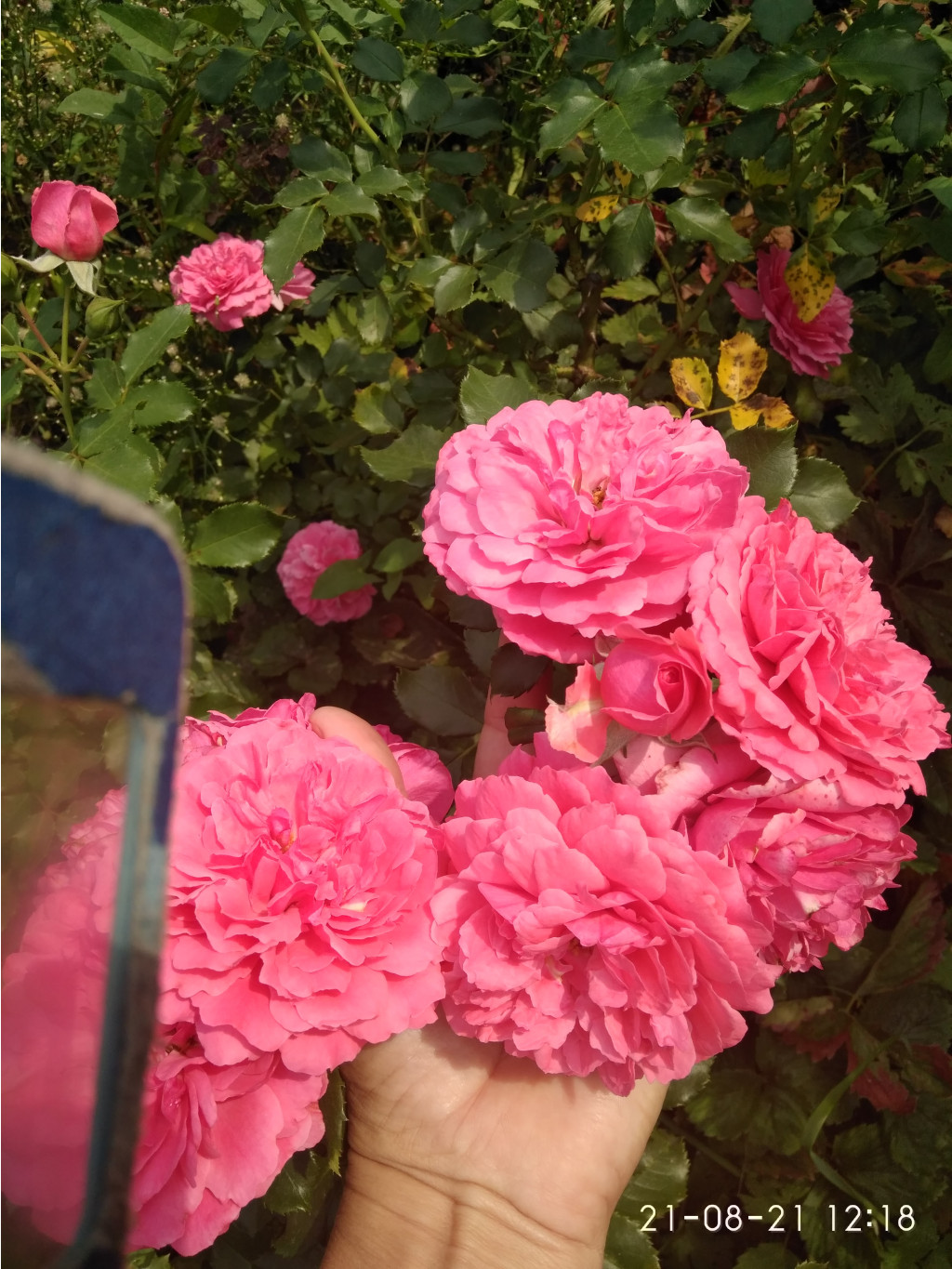 IMG 20210821 121834.jpg