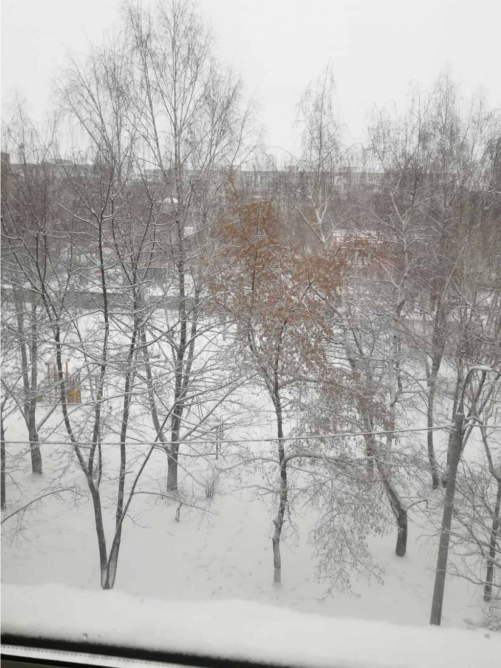 9 декабря 2021