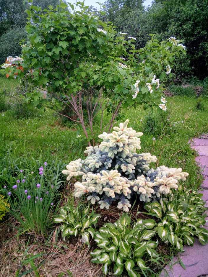 IMG 20210531 190602.jpg