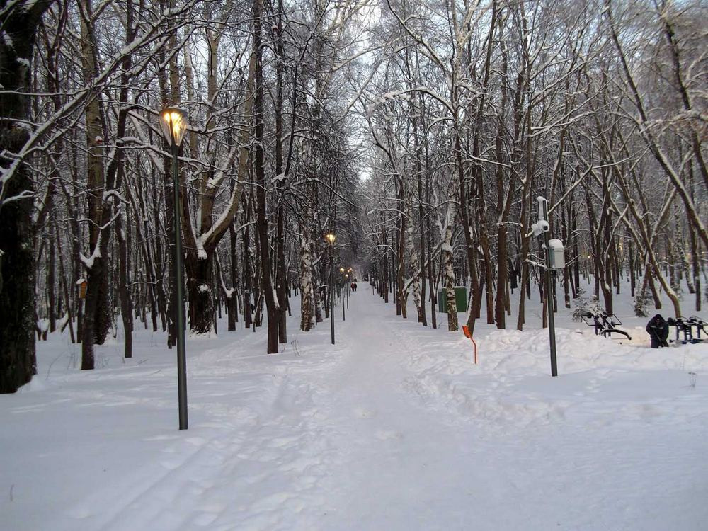 https://img.nn2.ru/galleryview/0/userfiles/data/ufiles/2022-02/ab/f2/29/61fff765ca080_dscf4523.jpg