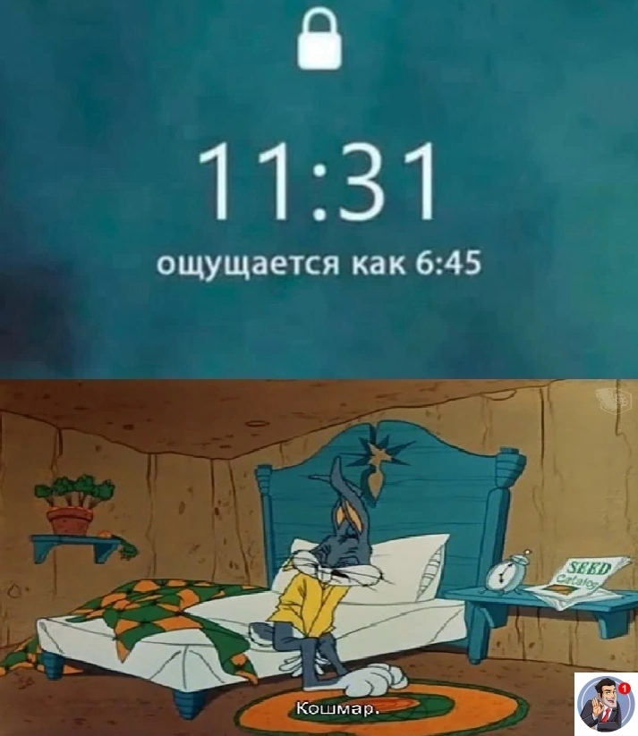 Lv9wKDbNFjE.jpg