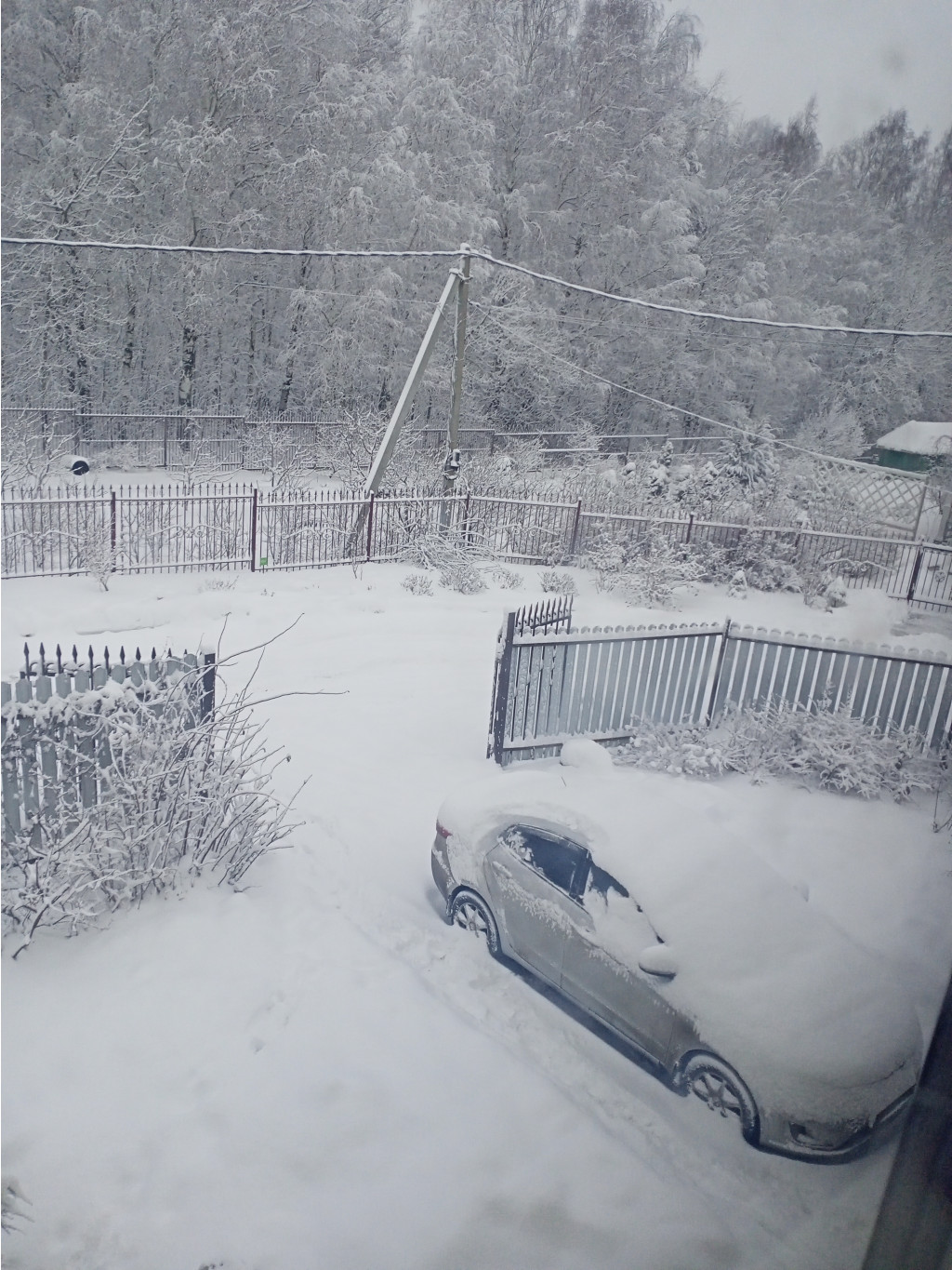 256416295-img20211217082704.jpg