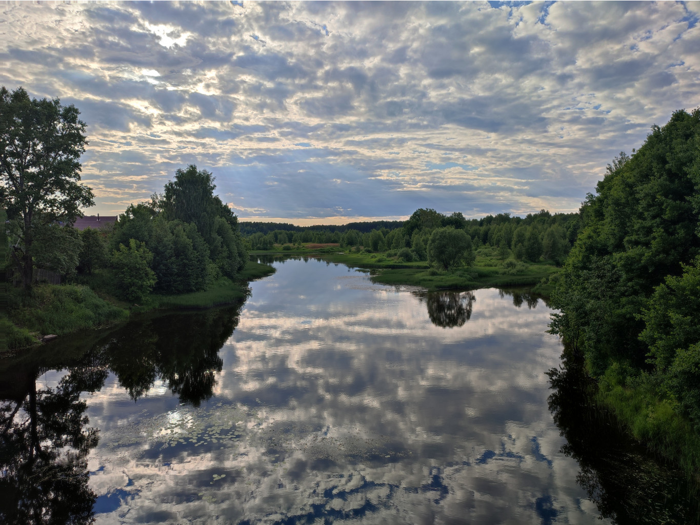 IMG 20220702 181639.jpg