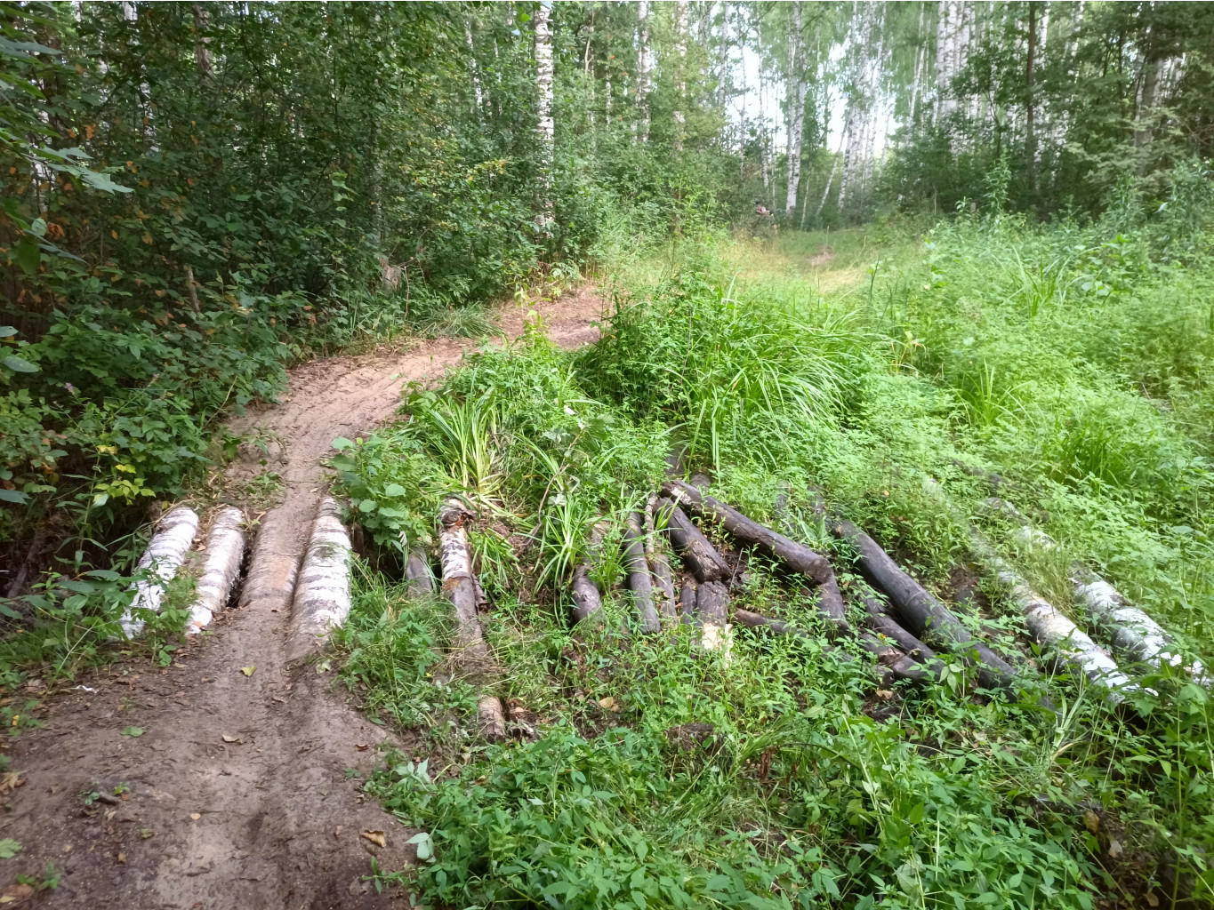 20220814 Кусочек грунтового Бревета 135549.jpg