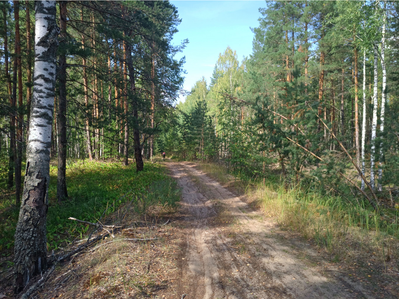 20220814 Кусочек грунтового Бревета 134658.jpg