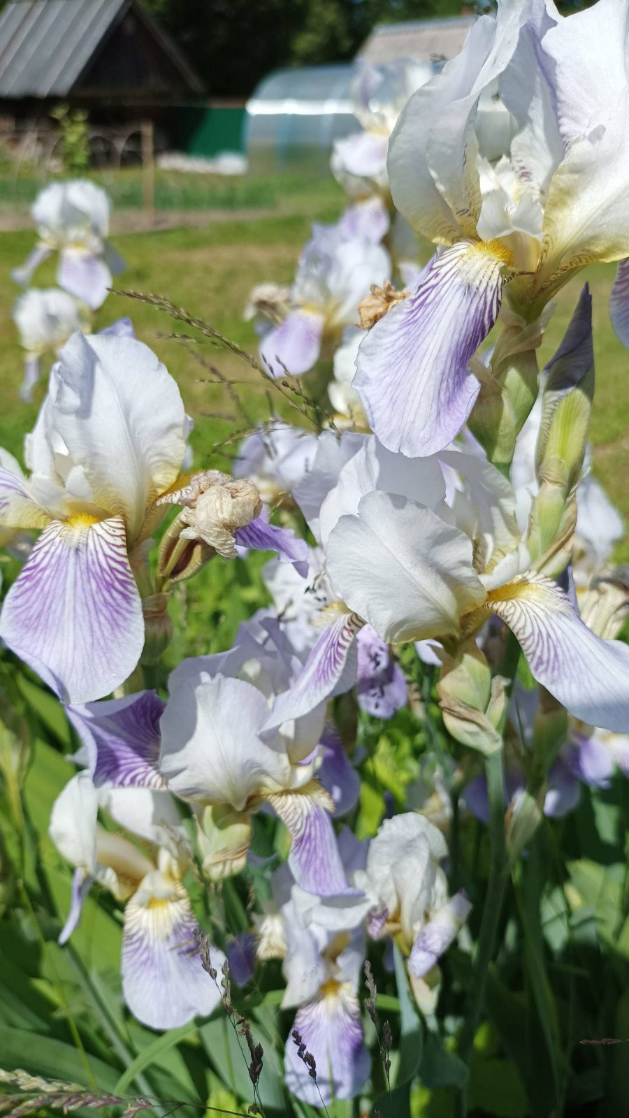  viber 2022-08-07 10-11-56-861.jpg