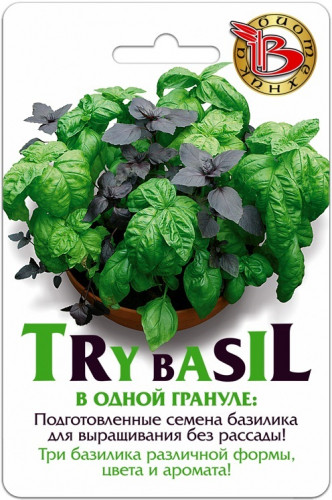  Try Bazil  