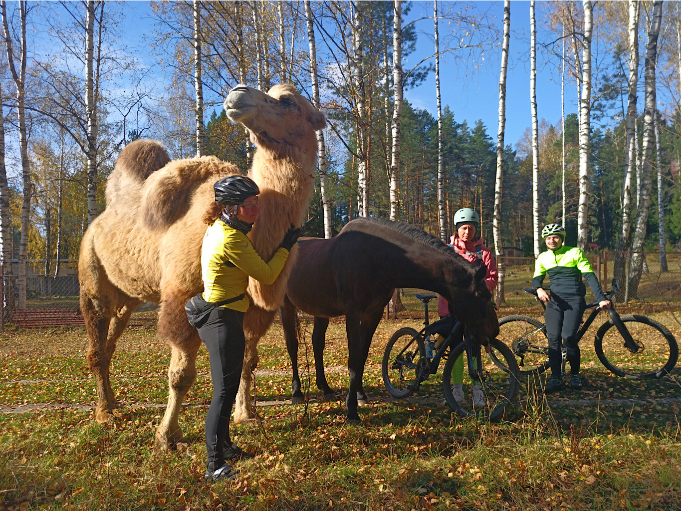 20221015 ЛиндаBikeTrip 113214.jpg