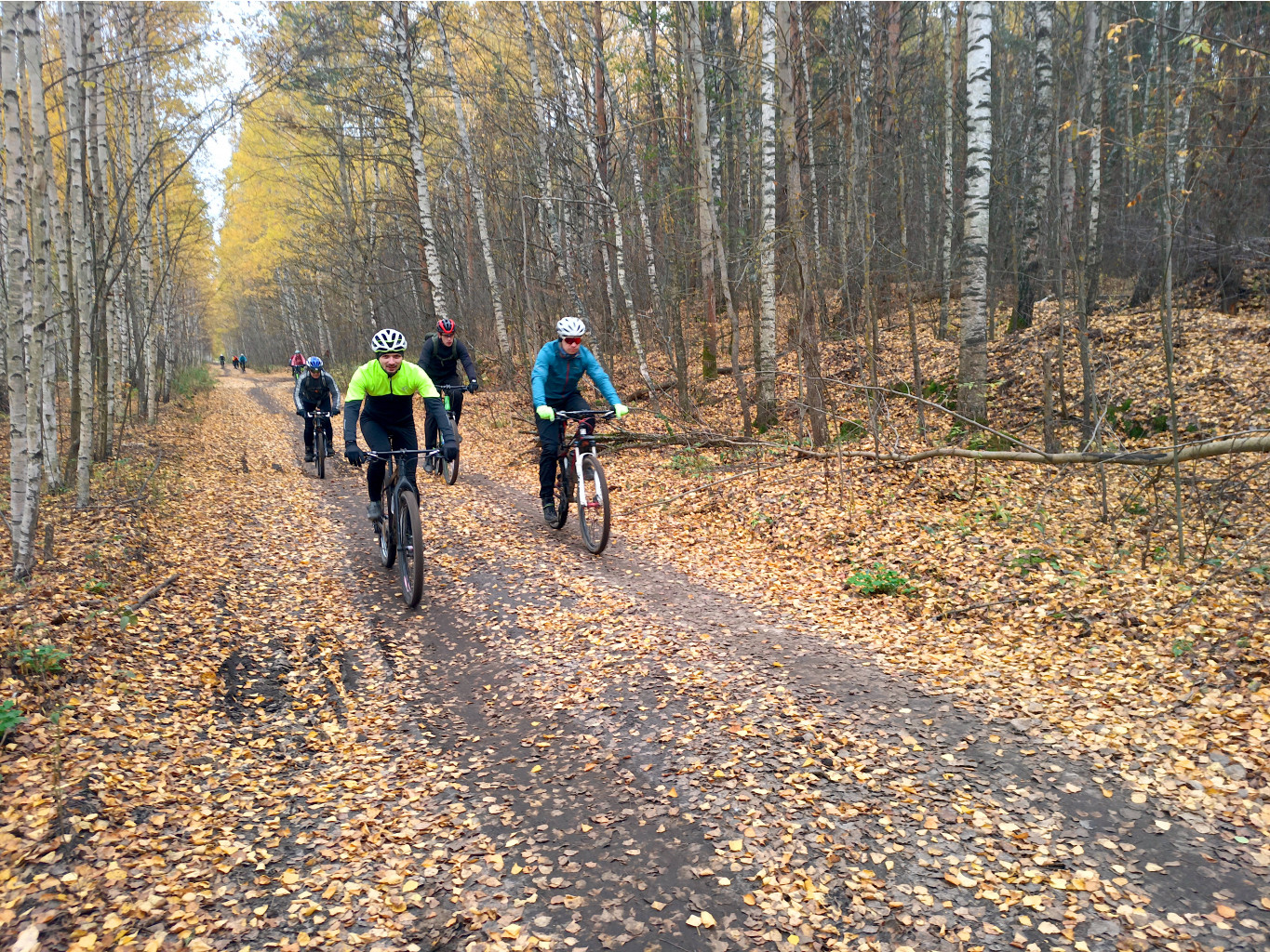 20221015 BikeTrip 132540.jpg