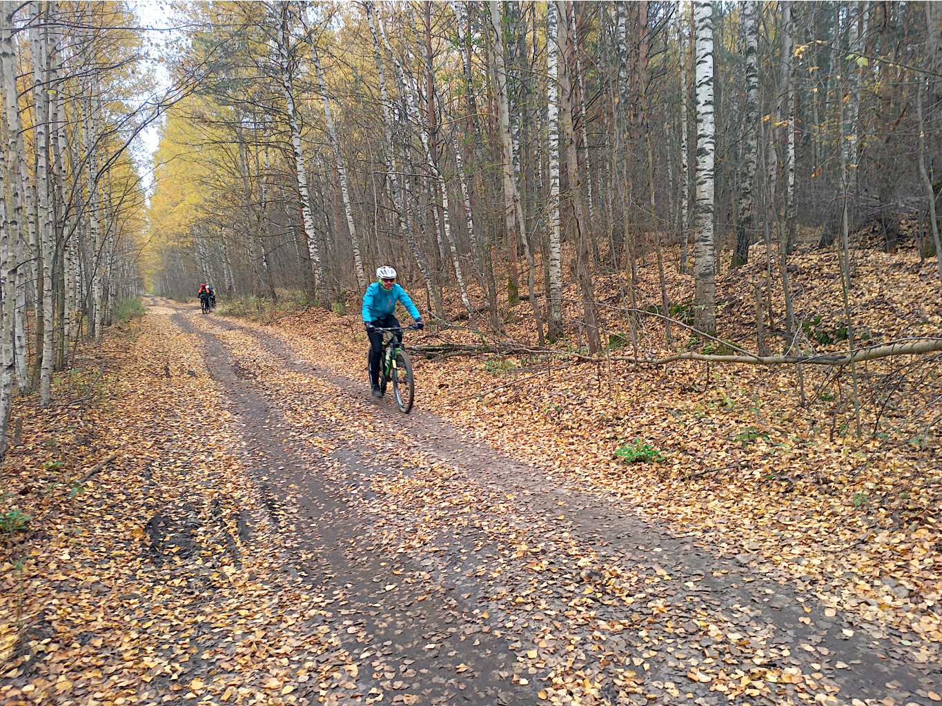 20221015 ЛиндаBikeTrip 132601.jpg