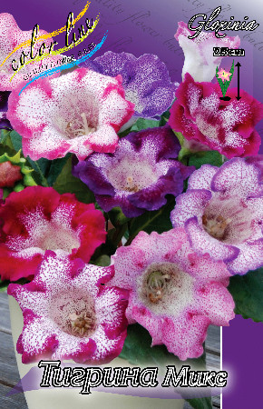 182,8 .     (  2 .) 2021  3 ..jpeg