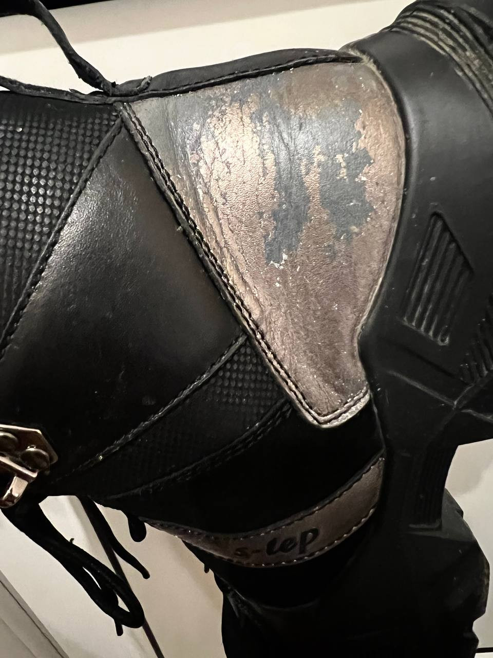 Photo 2023-01-25 04-59-29.jpg