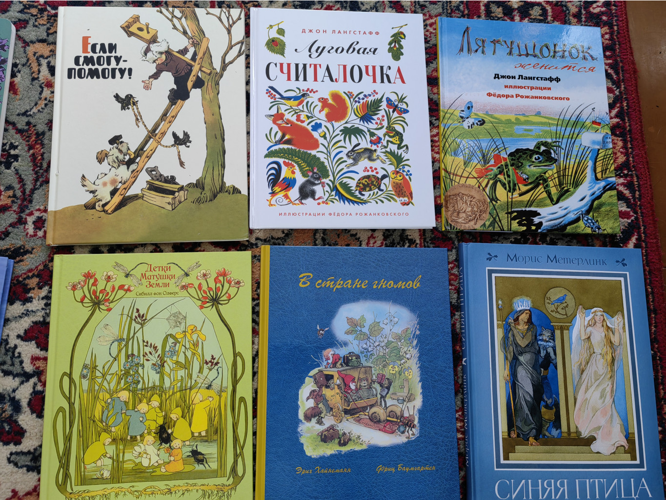 IMG 20230304 122945.jpg