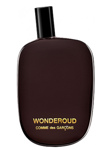 WONDEROUD COMME DES GARCONS WONDEROUD   100 .	14 572 .  10 = 1457+%+ 64