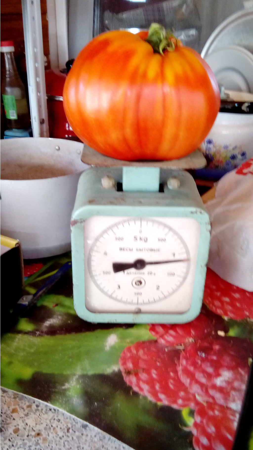 IMG 20220829 080146.jpg