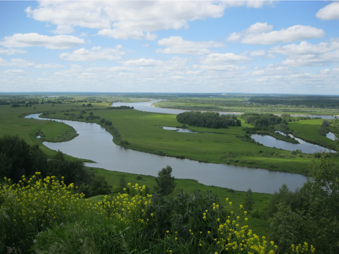 IMG 0070.jpg