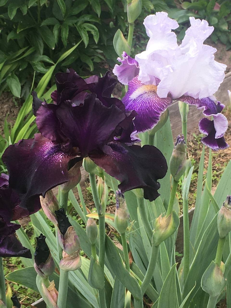 Photo 2023-06-13 22-20-40.jpg