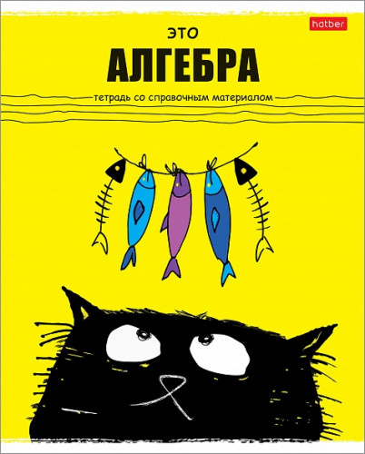 Тетрадь предметная 48л А5ф С интерактивн.справочн.инф. клетка -Черный кот- АЛГЕБРА Цена 33+% в наличии 29 шт.jpg