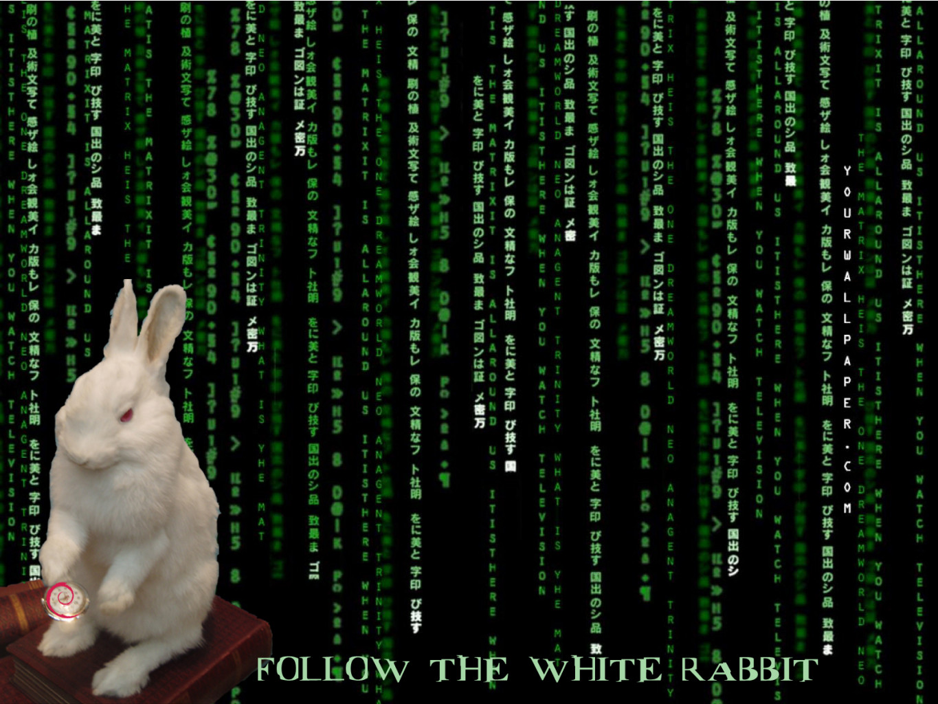 Naturally Debian-Follow The White Rabbit.jpg