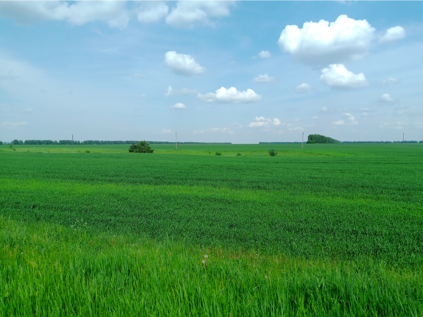 20230527 -400 -2023 145708.jpg