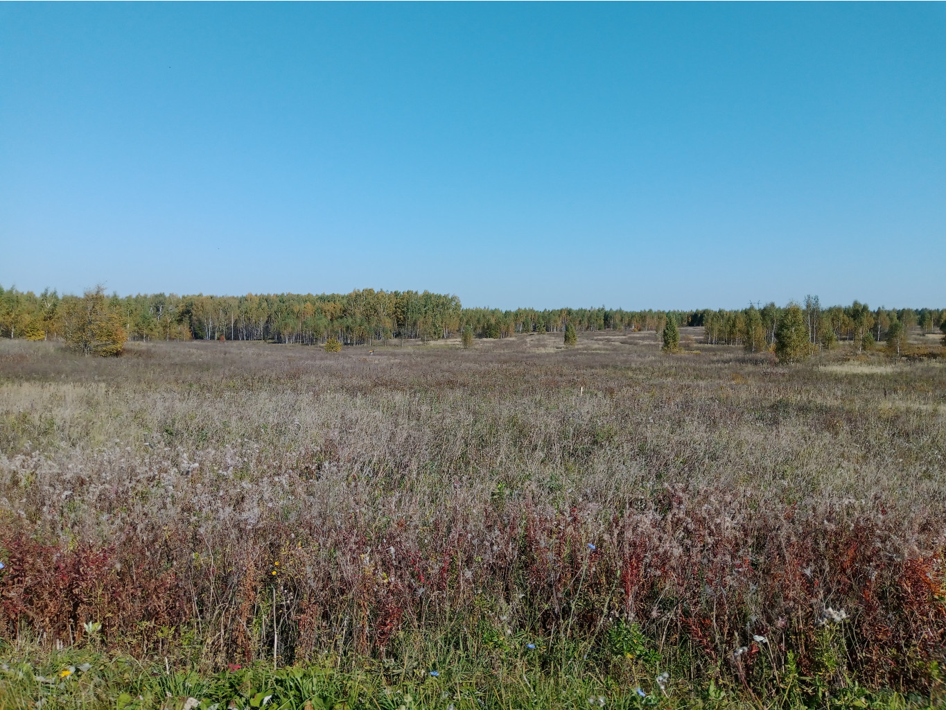 20230923 Бревет-200 Оранский 103427.jpg