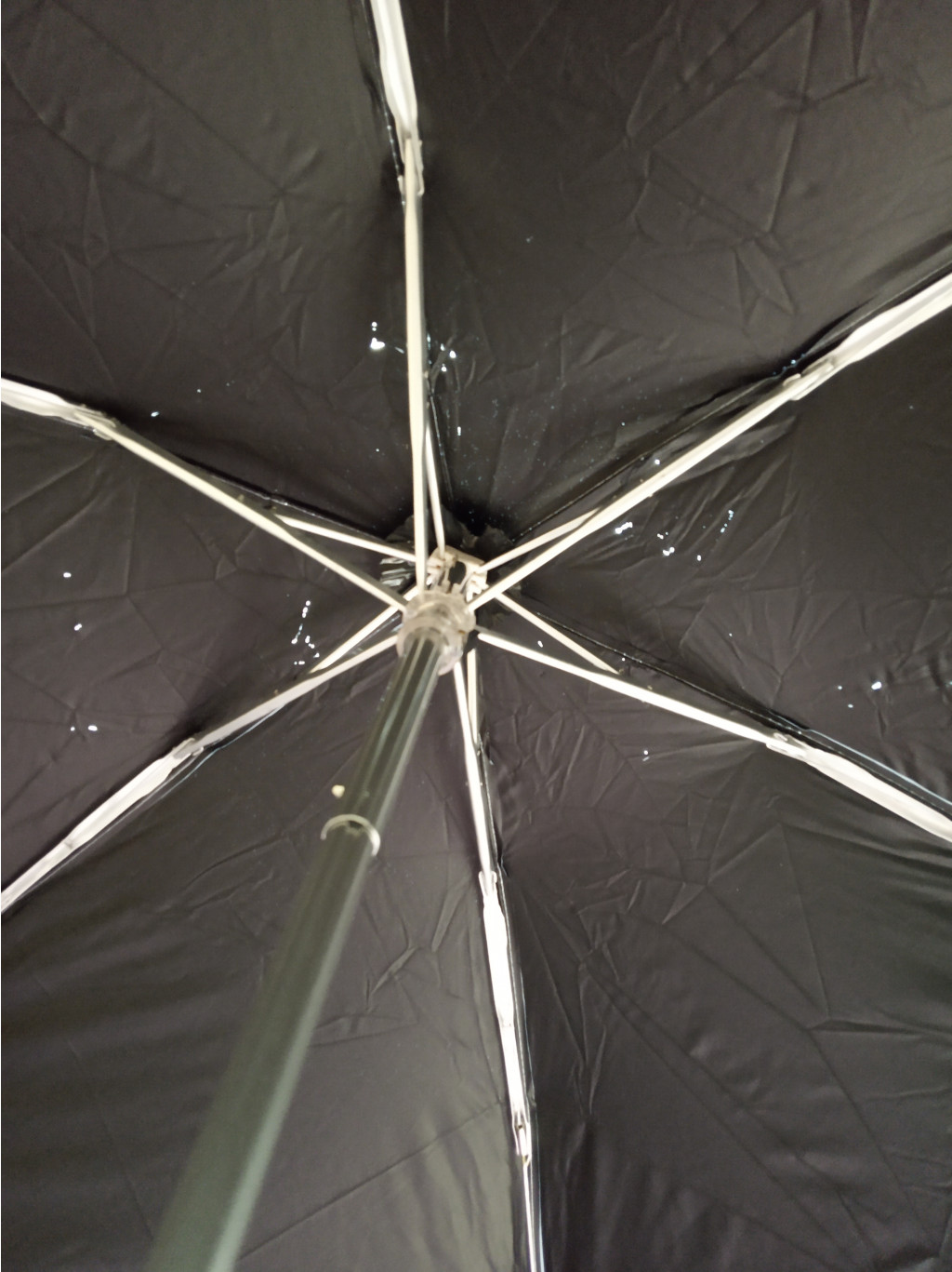 IMG 20231021 091311 (1).jpg