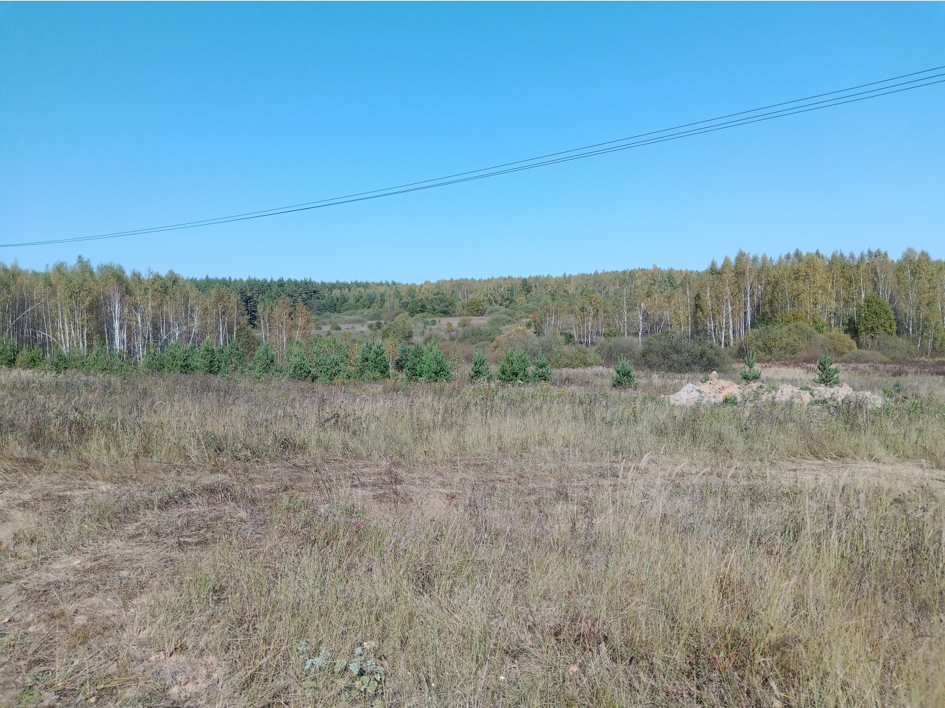 20230923 Бревет-200 Оранский 110232.jpg
