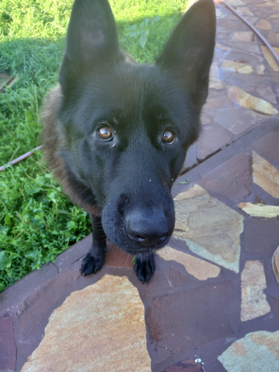  viber 2023-11-18 21-16-30-637.jpg