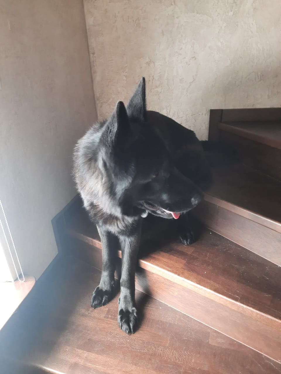  viber 2023-11-18 21-19-22-716.jpg