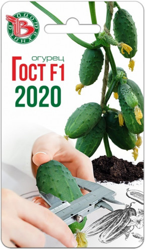   F1 2020