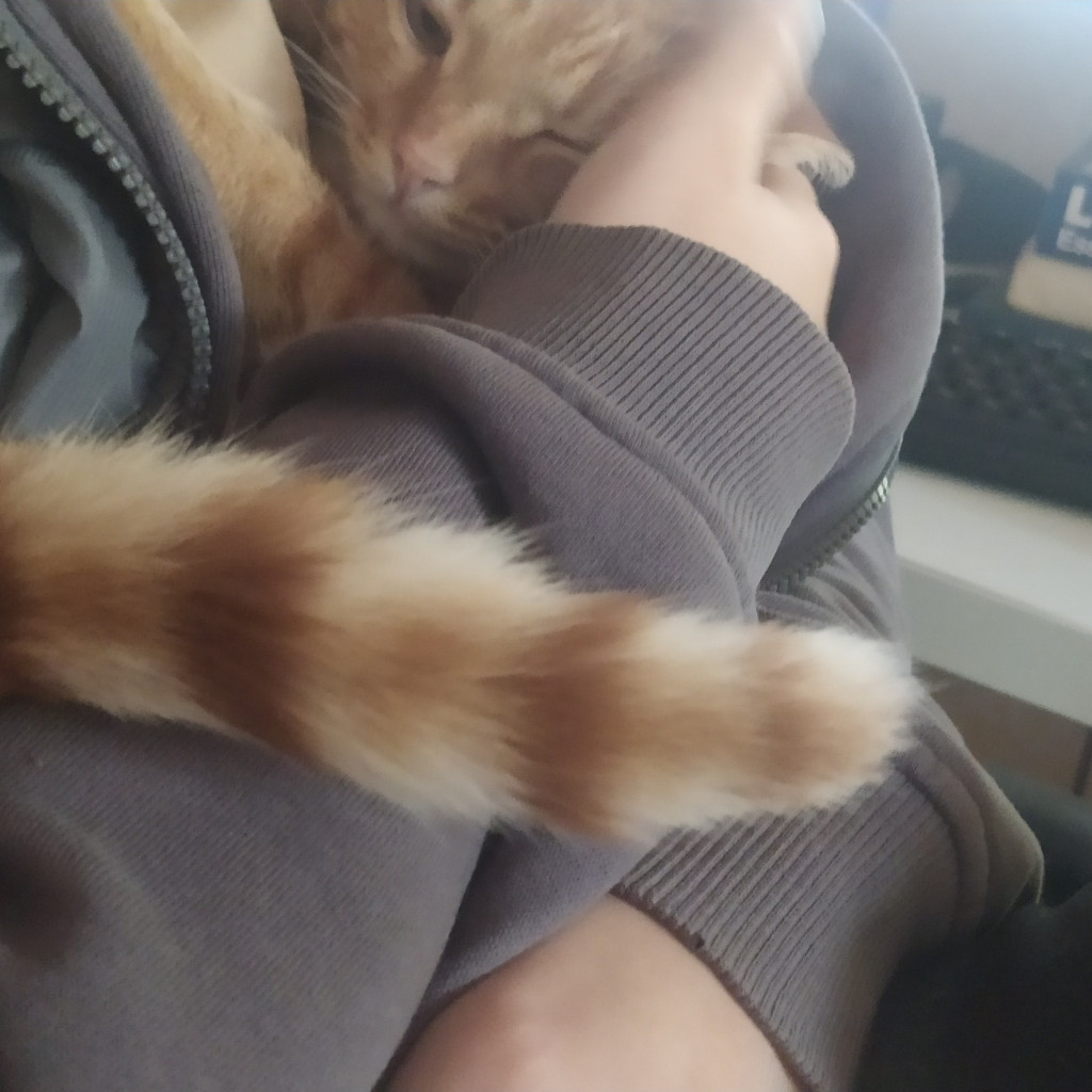 IMG 20230921 150759.jpg