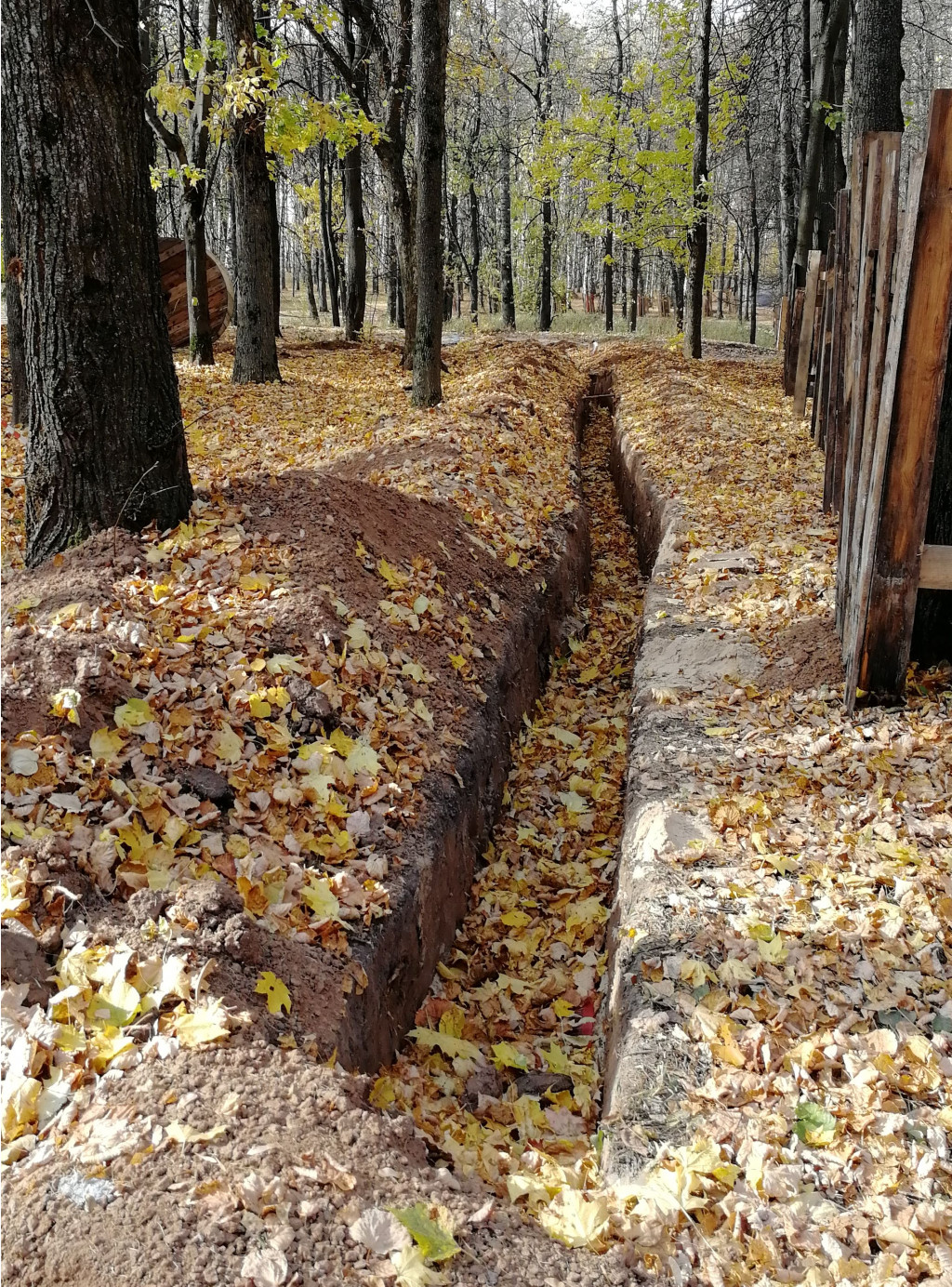 IMG 20201010 112230.jpg