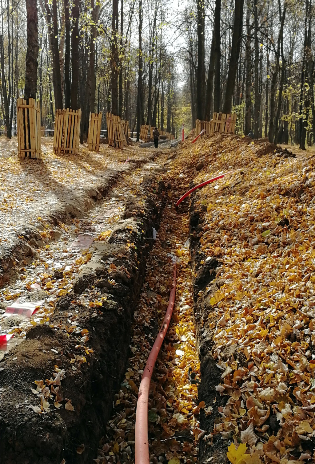 IMG 20201010 113523.jpg