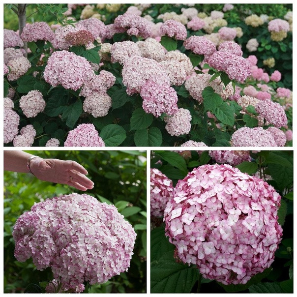    , 2/3, 3 , 840 