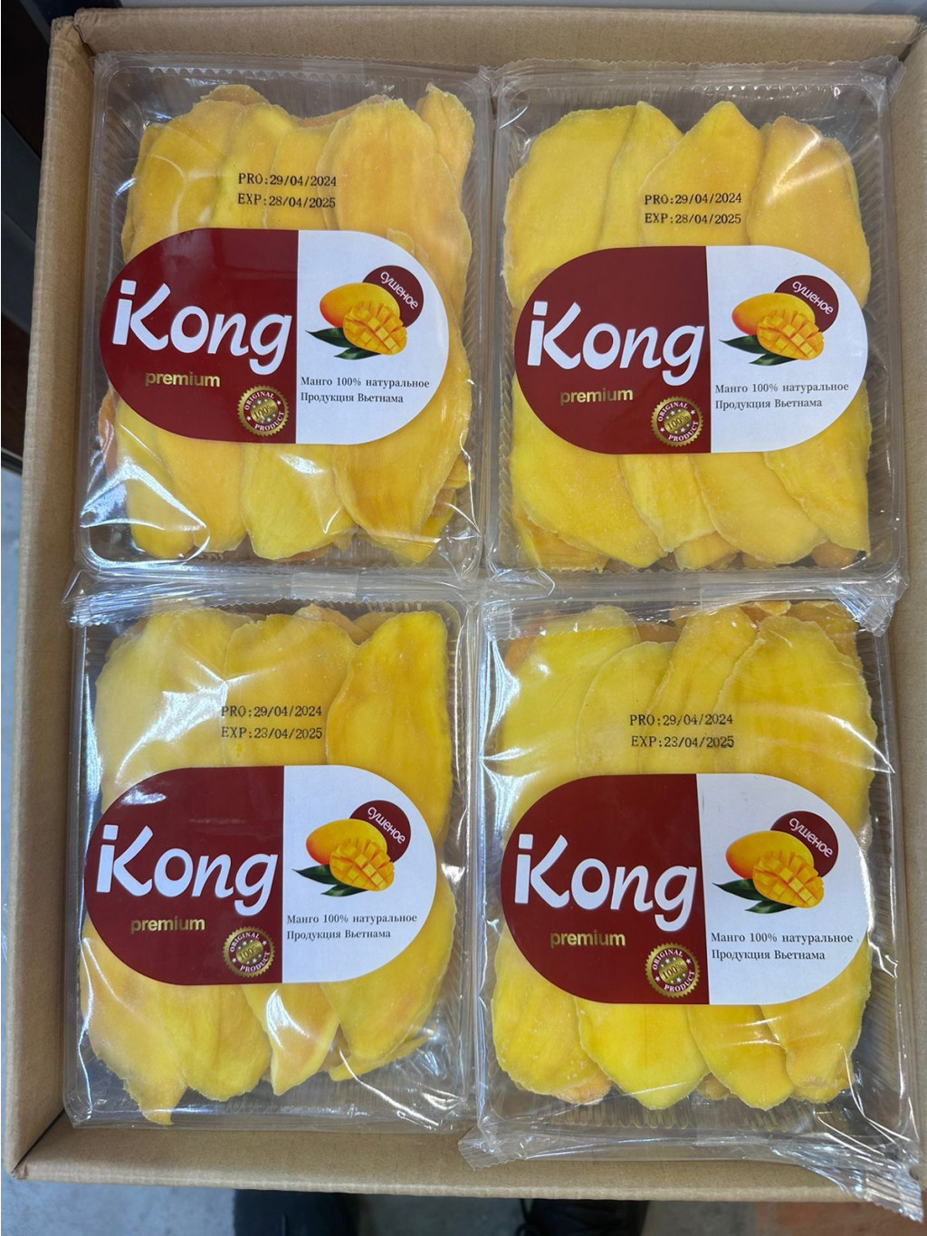 !  Kong 500 .jpg