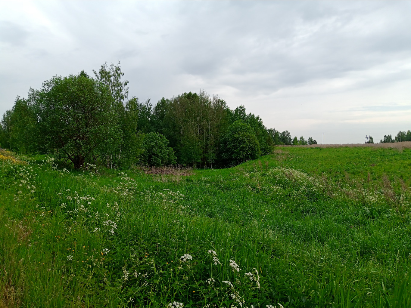 20240602  - 141528.jpg