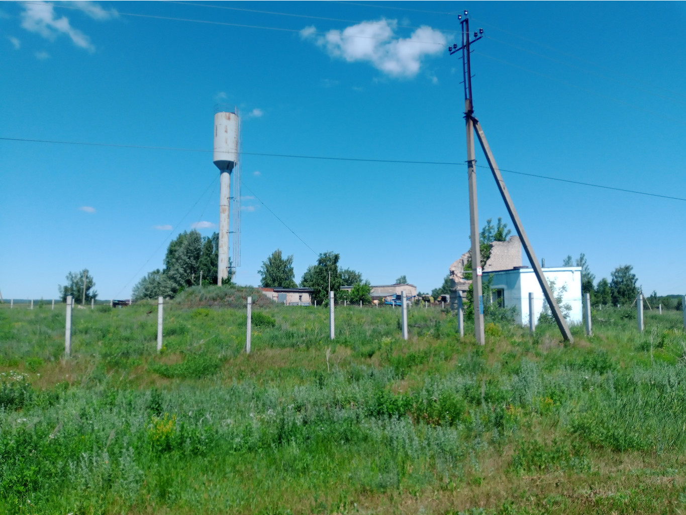 20240629 -600  125424.jpg