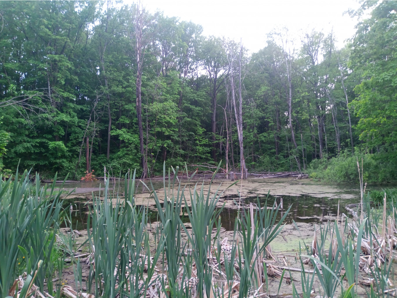 20240530  -  195915.jpg