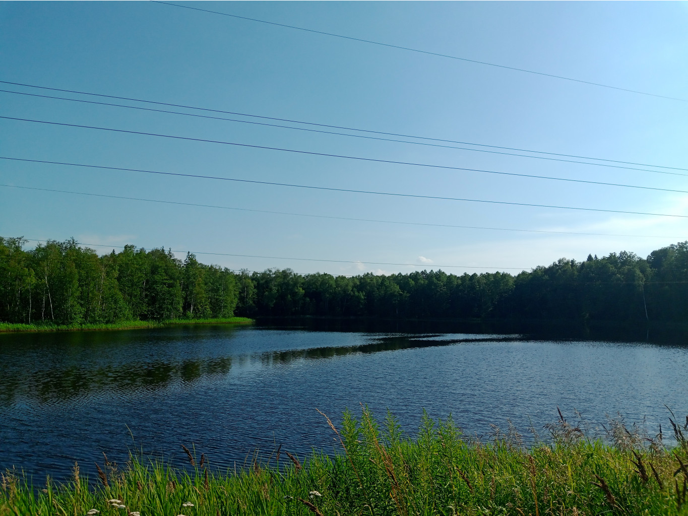 20240630 -600  162109.jpg