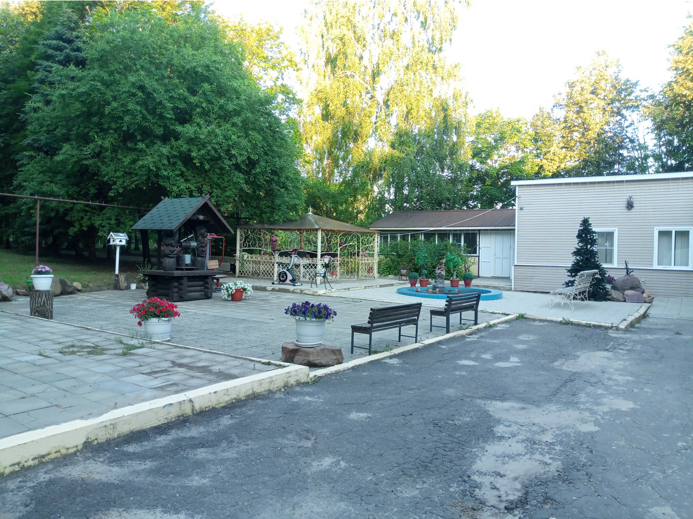 20240630 -600  045454.jpg
