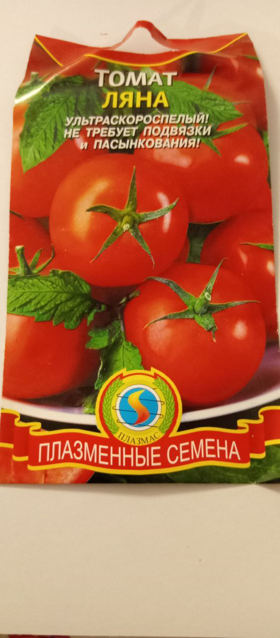 ,   12.23,   1 .jpg