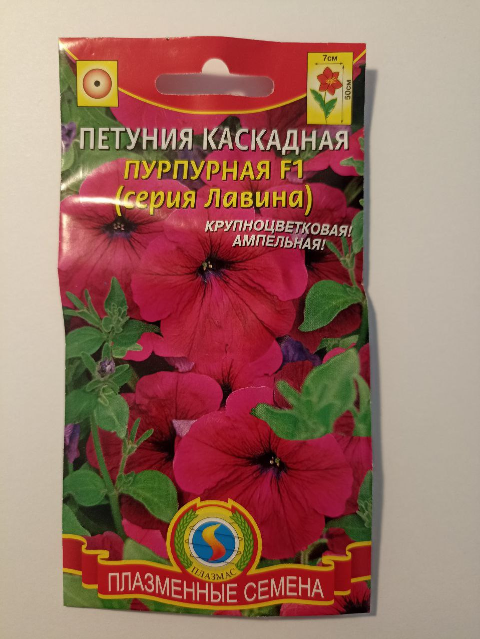 .   12.23,   1 .jpg